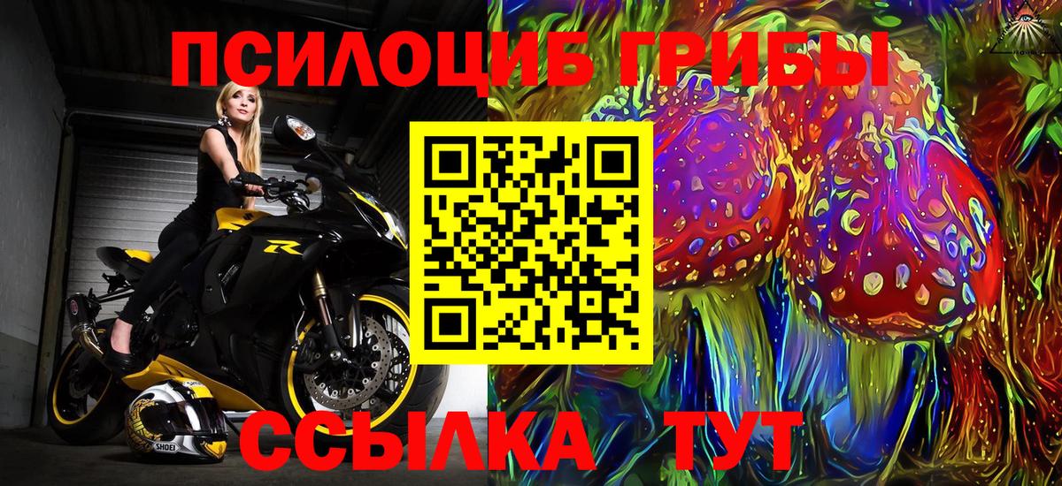 Краснокаменск  Псилоцибиновые грибы мицелий  Вход с VPN  Псилоцибиновые грибы мухоморы 